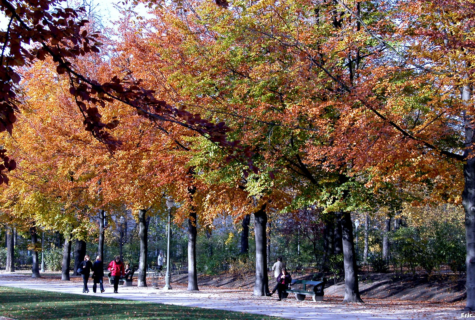 Parc de Bruxelles