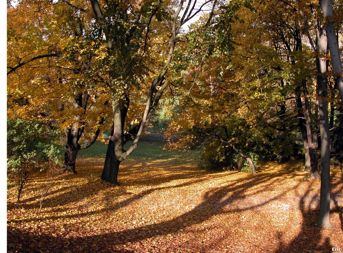 Parc Josaphat