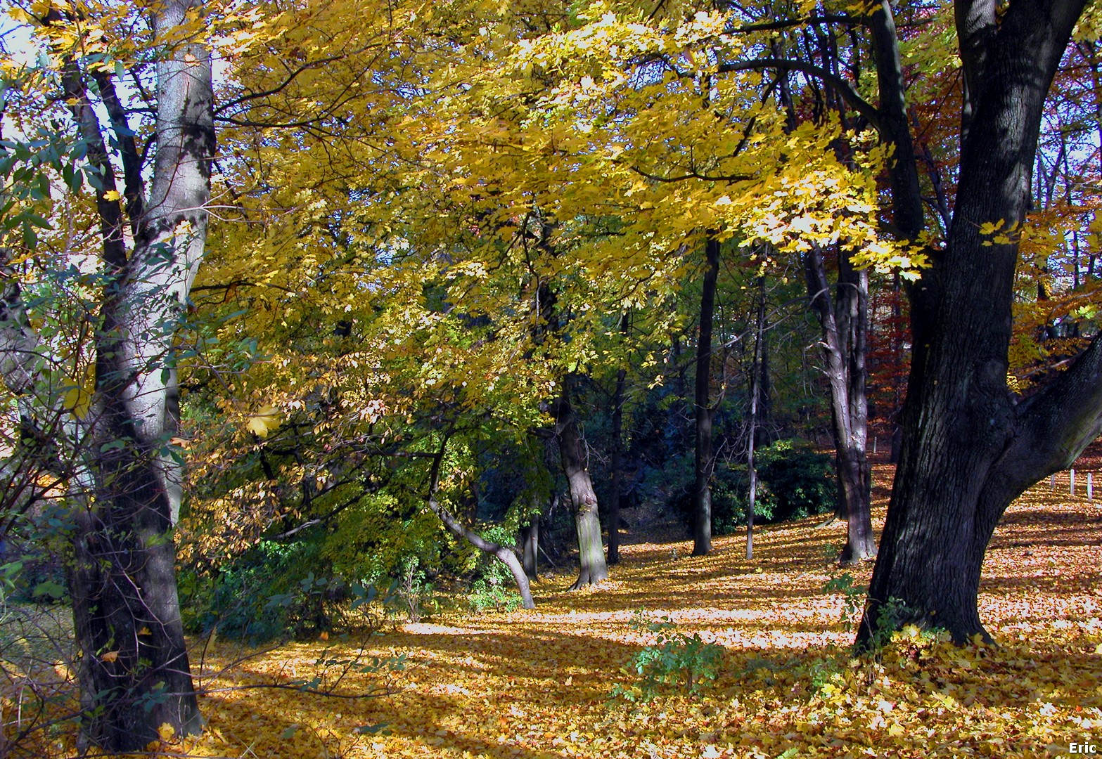 Parc Josaphat