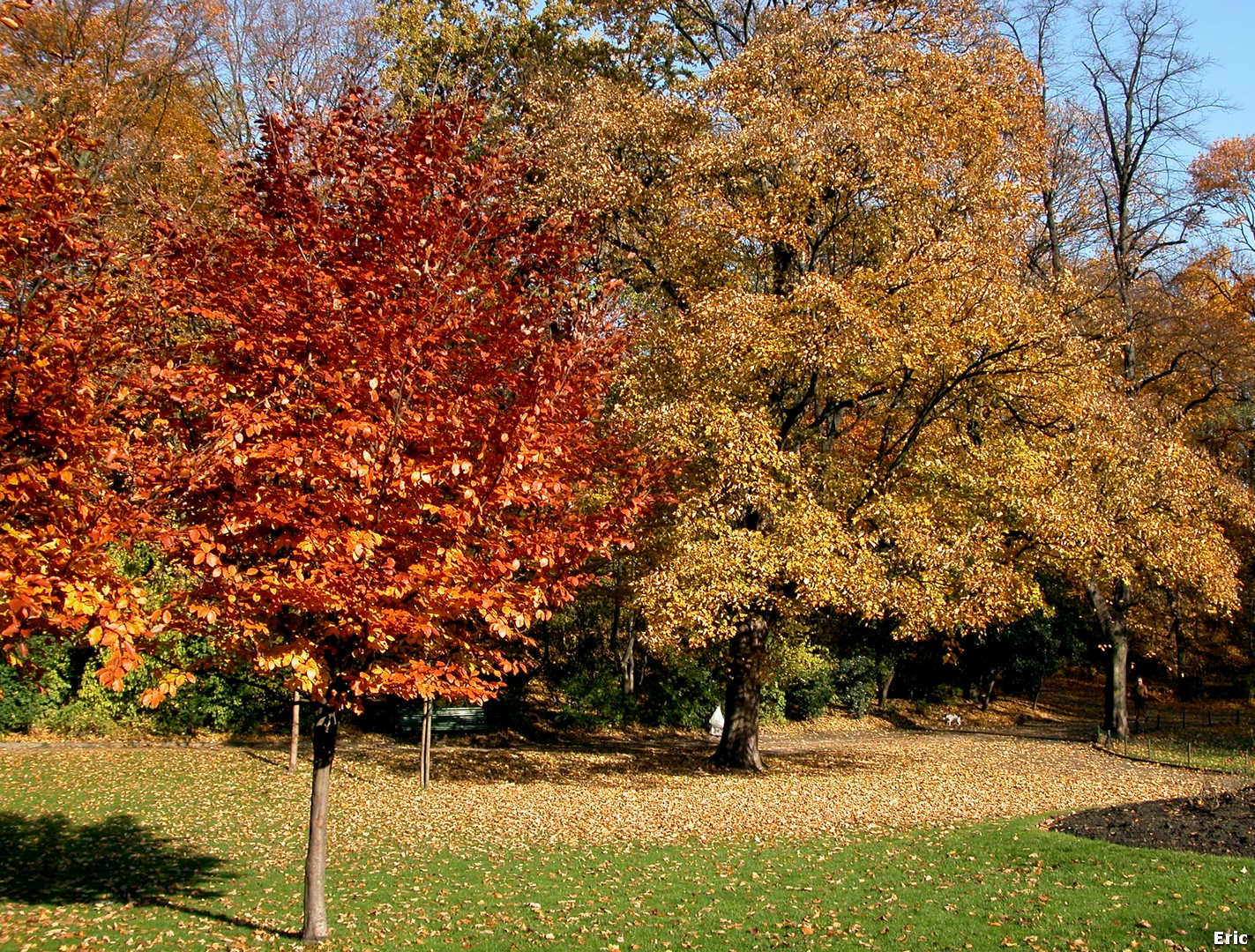 Parc Josaphat