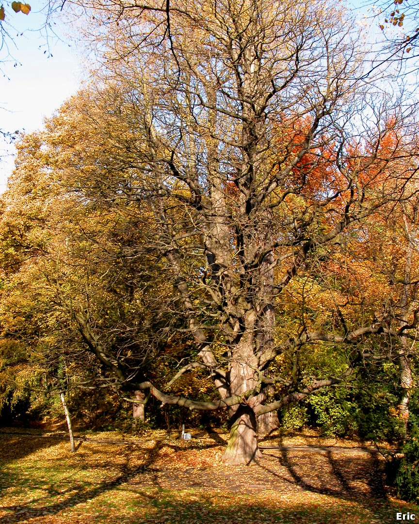 Parc Josaphat