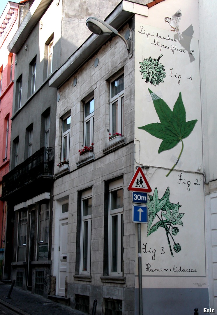 Rue l' Olivier