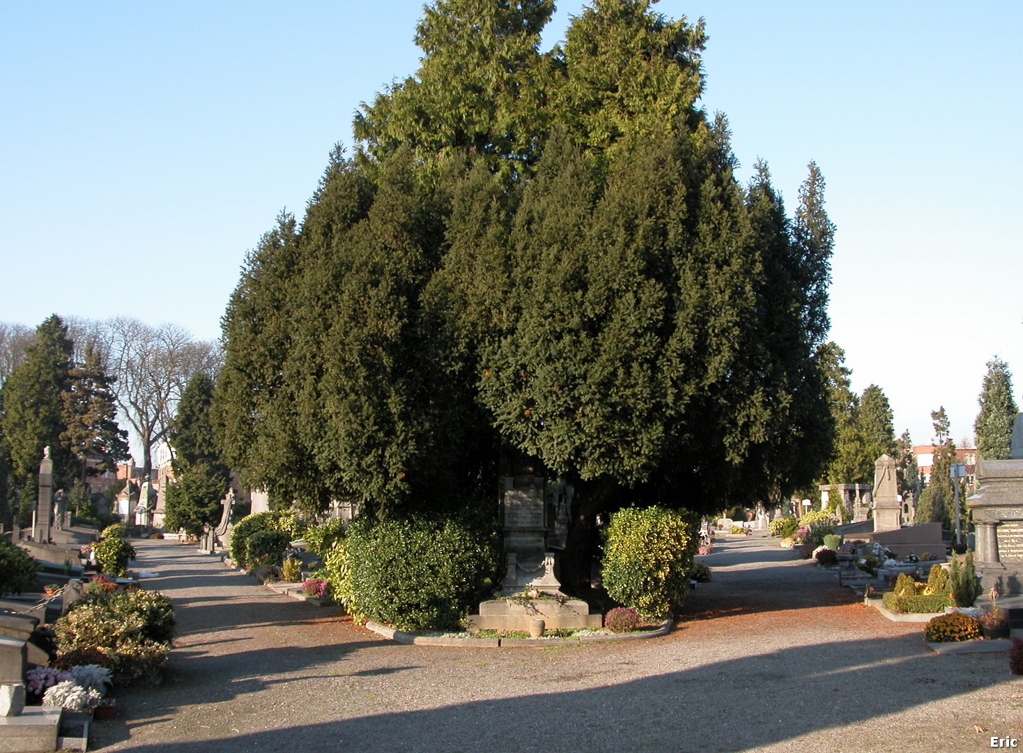 Cimetière d' Ixelles