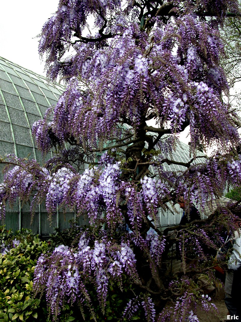 Château Royal de Laeken