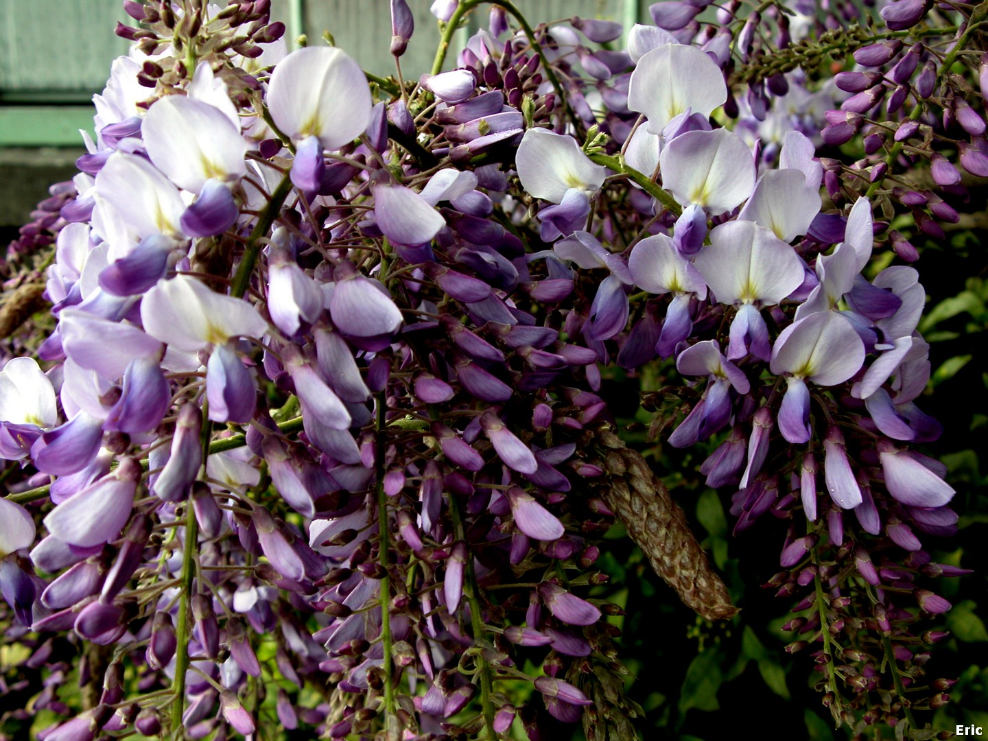 Chteau Royal de Laeken