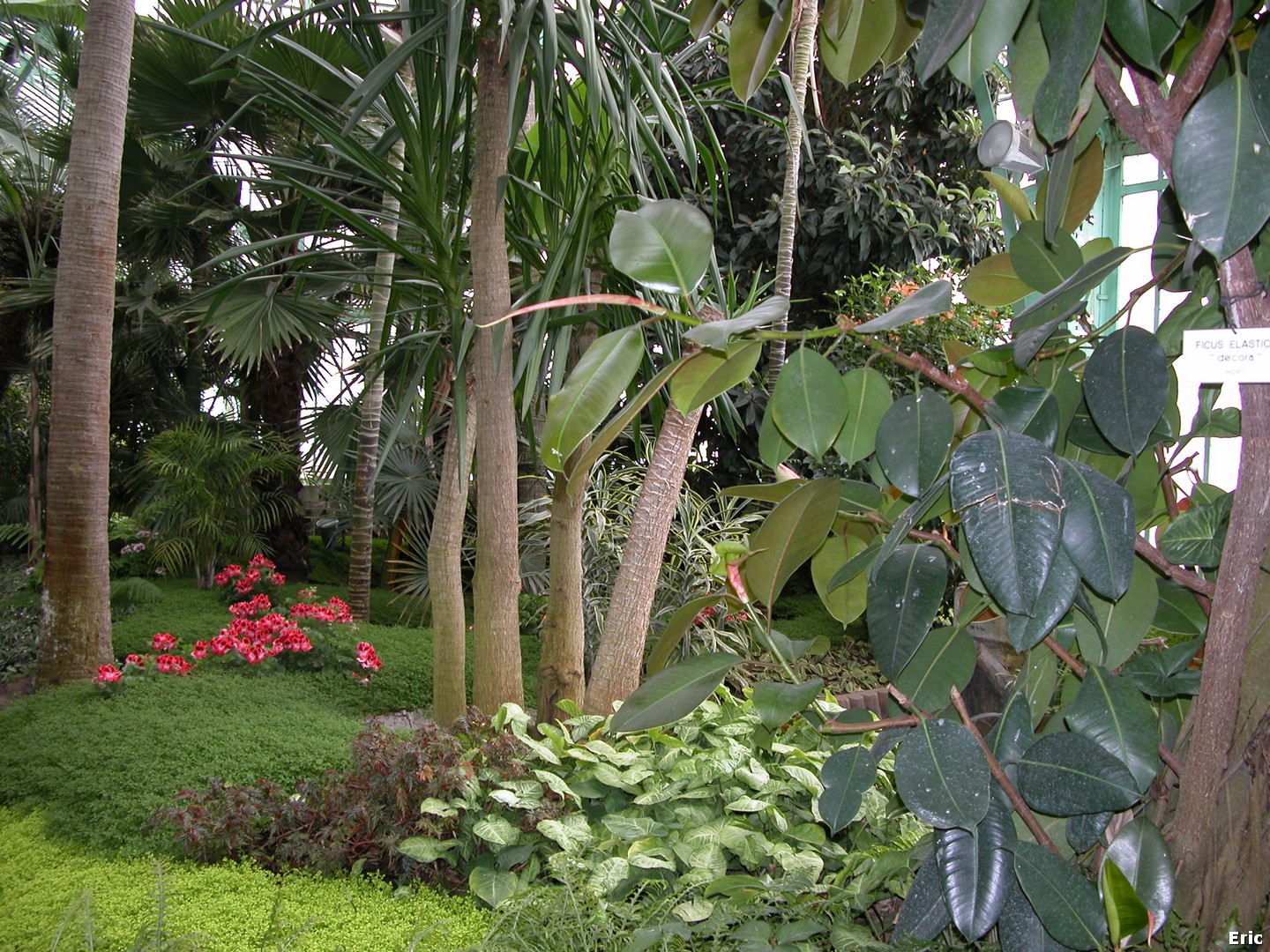 Serres Royales de Laeken