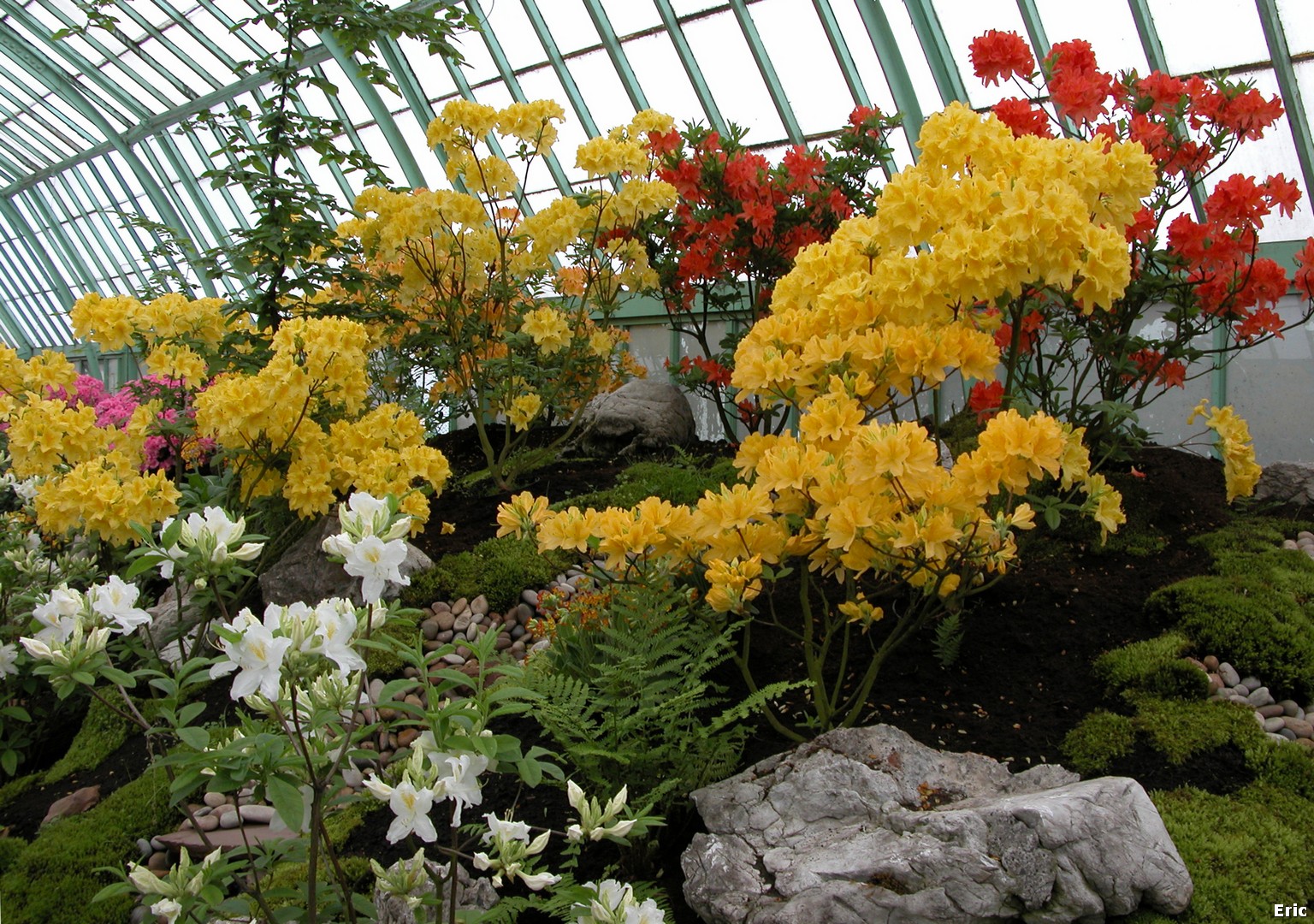 Serres Royales de Laeken