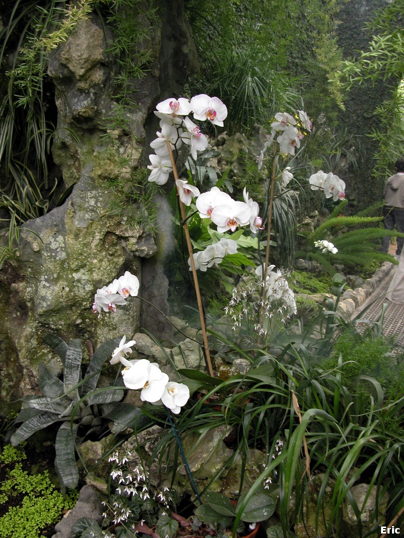 Serres Royales de Laeken