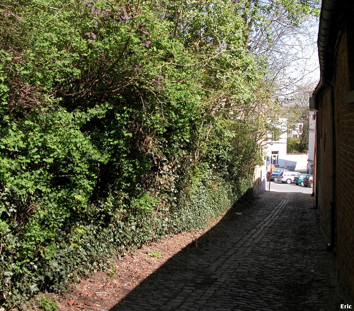 Hondenberg